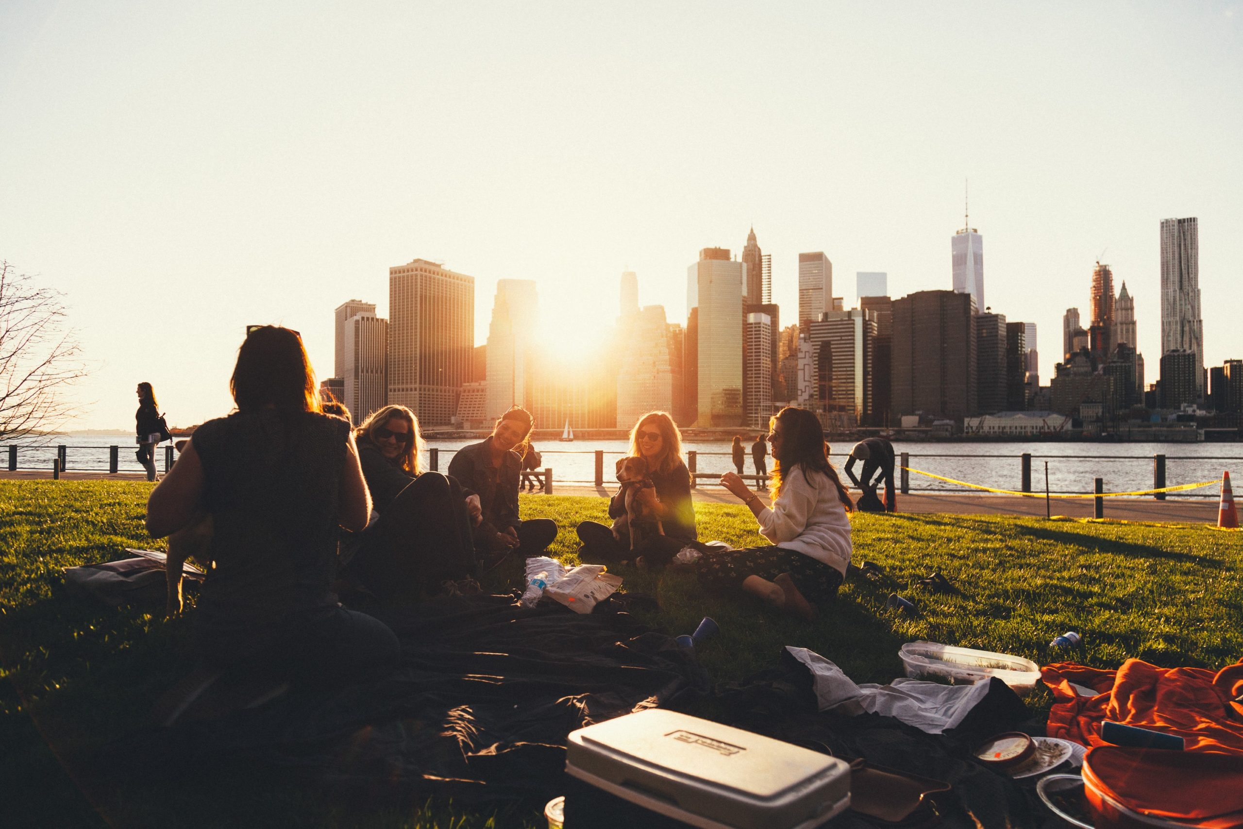 A small group of people meeting in a park in front of the New York City Skyline.